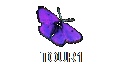 TOUR1