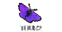TOUR2