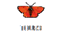 TOUR3